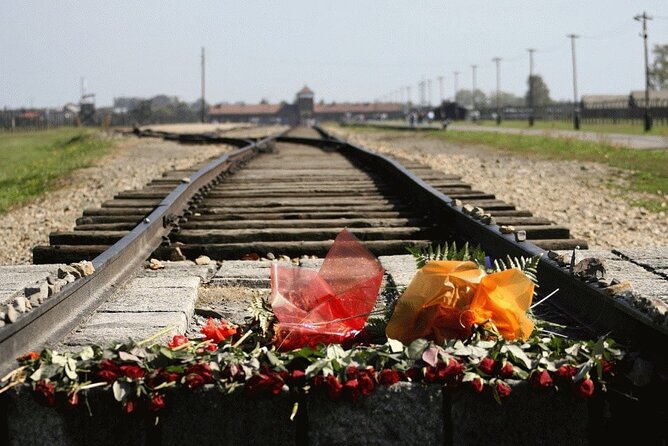 Auschwitz and Birkenau Guided Tour from Krakow - Auschwitz and Birkenau context: how the three-part setup helps you orient