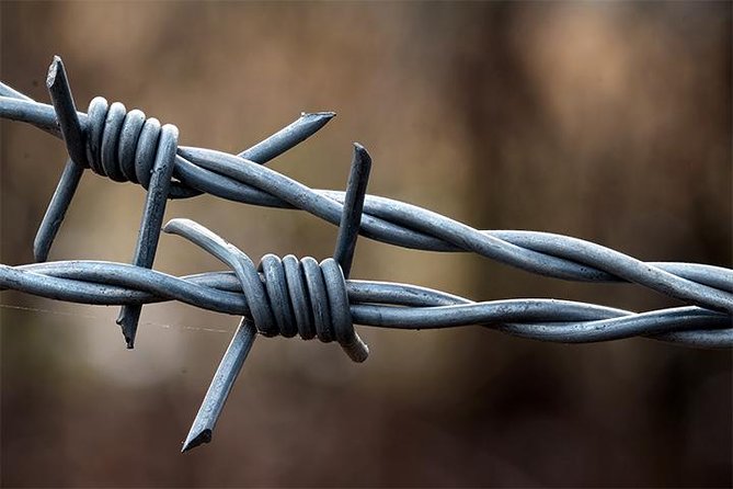 Auschwitz and Birkenau Tour - The point of this tour: save time, keep it organized