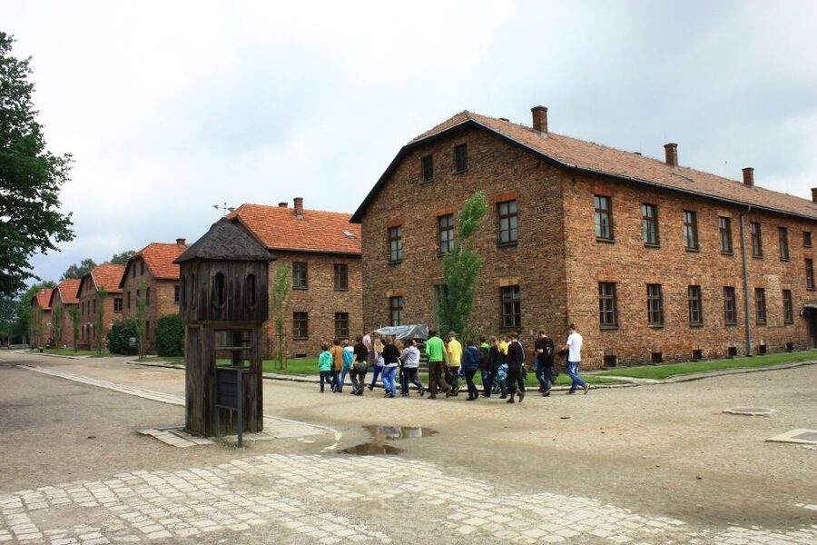 Auschwitz-Birkenau and Krakow Private Car Trip from Katowice - When Auschwitz I Access Is Limited: The ID and Queue Reality
