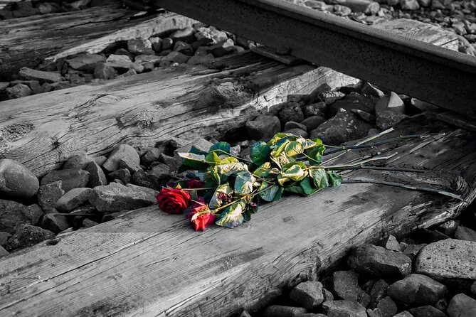 Auschwitz Birkenau and Salt Mine Full Day Guided Tour from Krakow hotel pick up - Entering Auschwitz-Birkenau with a Licensed English Guide