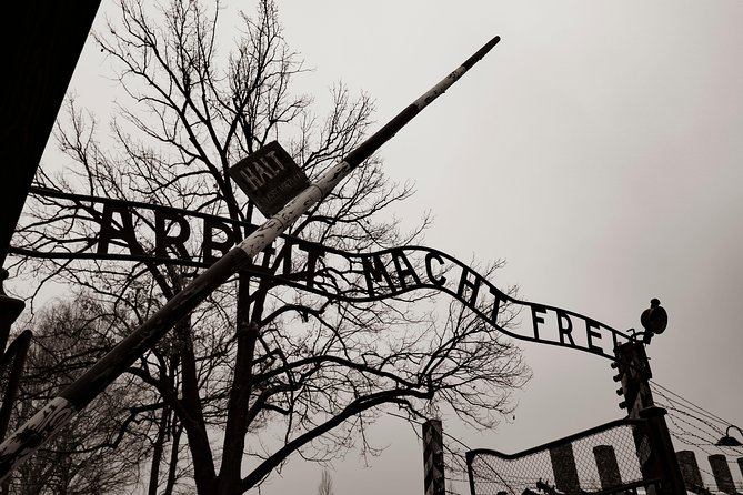 Auschwitz-Birkenau and Wieliczka Salt Mine Day Tour from Krakow with private car - Key highlights to know before you go