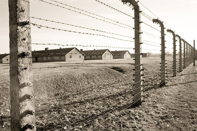 Auschwitz- Birkenau and Wieliczka Salt Mine in One Day - Price and Value: Is $187.53 a Good Deal?