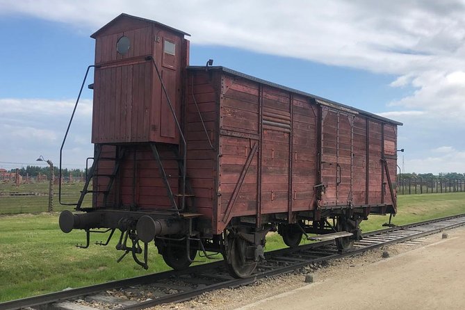 Auschwitz-Birkenau and Wieliczka Salt Mine Museum Guided Tour from Krakow - Shared Minibus Comfort, Earphones, and Group Size Reality