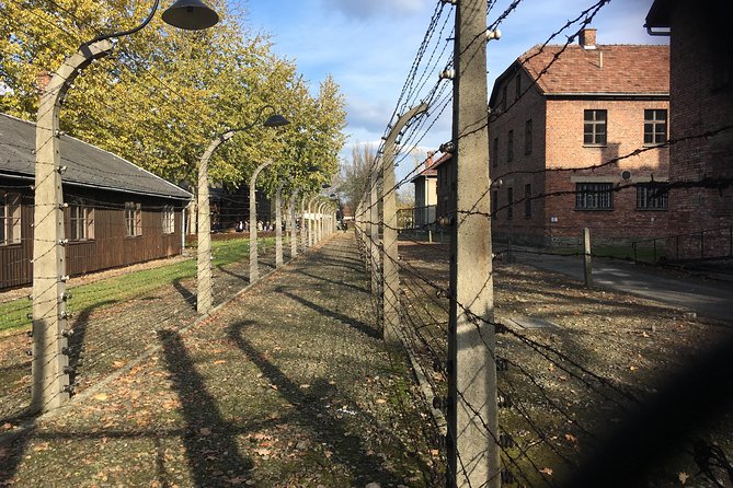 Auschwitz-Birkenau Day Tour from Wroclaw - The Long Drive: Pickup, Comfort, and Getting There on Time