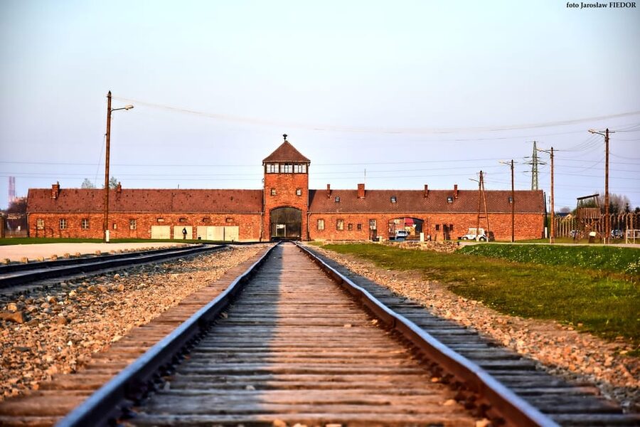 Auschwitz-Birkenau: Guided Tour and Skip-The-Line Ticket - The Guide Experience: Licensed Explanations in Your Language