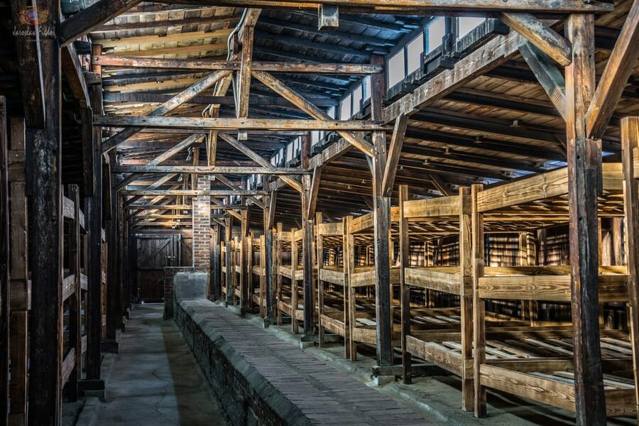 Auschwitz-Birkenau: Guided Tour and Skip-The-Line Ticket - Who This Tour Fits Best (And Who Should Rethink It)