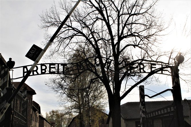 Auschwitz-Birkenau Guided Tour by Private Transport from Krakow - Price of $180.57: what you are paying for, and where it’s worth it