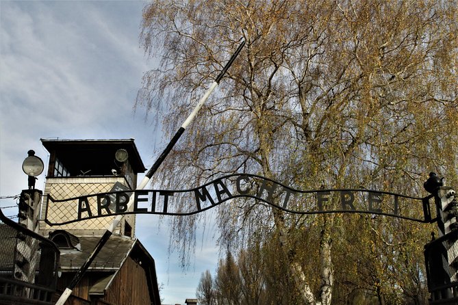 Auschwitz-Birkenau Guided Tour by Private Transport from Krakow - Group size and language: what English guidance really means on the ground