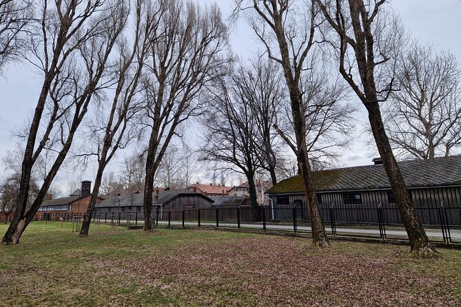 Auschwitz-Birkenau Guided Tour from Krakow opt. with Hotel Pickup - Group size and crowding: why the experience can feel different day to day