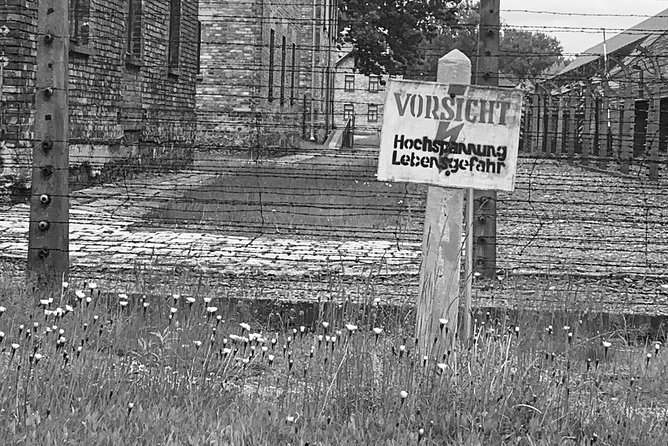 Auschwitz-Birkenau guided tour from Krakow - private car - Auschwitz II-Birkenau: Barracks, Ruins, and the Weight of Scale