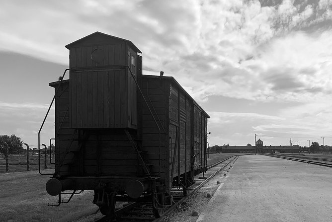 Auschwitz-Birkenau guided tour from Krakow - private car - What to Do Before You Step On the Bus
