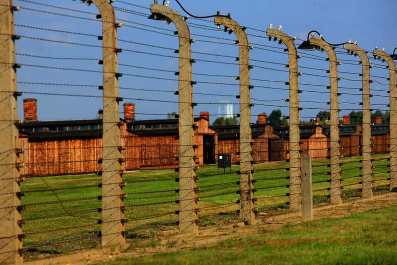 Auschwitz-Birkenau: Guided Tour - Ticket + Transportation - Who should book this Auschwitz-Birkenau day trip from Krakow?