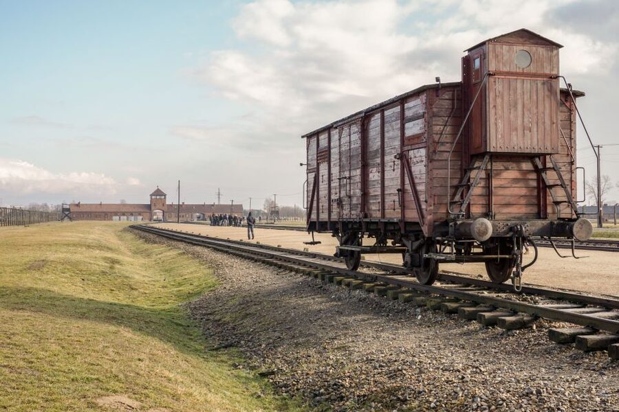 Auschwitz-Birkenau Guided Tour & Transfer from Krakow - Who should book this Auschwitz-Birkenau day trip from Krakow