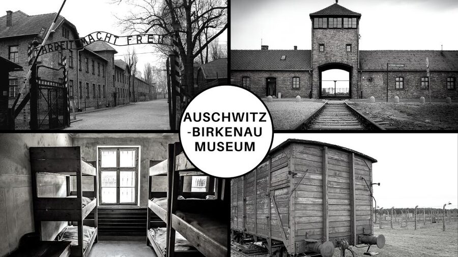 Auschwitz-Birkenau Guided Tour & Transfer from Krakow - Auschwitz II-Birkenau: barracks, gas chamber areas, and the walking rhythm