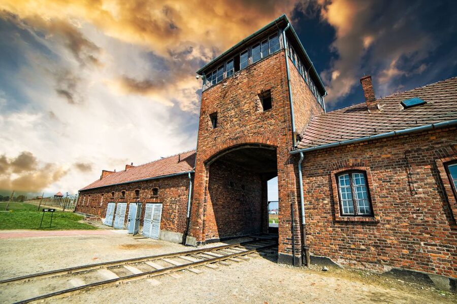 Auschwitz-Birkenau Guided Tour & Transfer from Krakow - Tour pace and expectations: what you gain, what you may feel