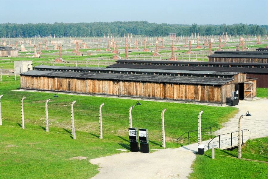 Auschwitz-Birkenau Guided Tour & Transfer from Krakow - What to bring, what not to bring, and what to wear
