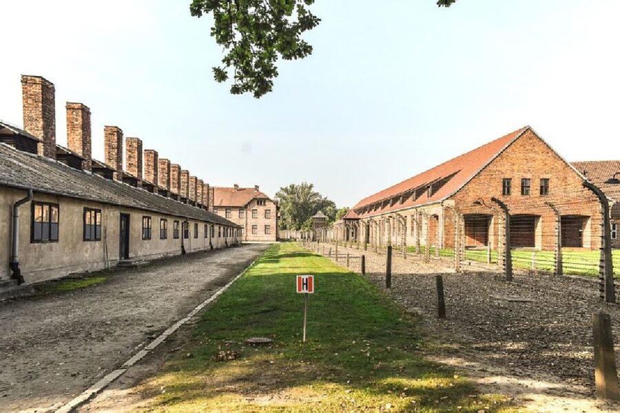 Auschwitz-Birkenau Guided Tour & Transfer from Krakow - Getting from Krakow: transfer time, pickup points, and how smoothly it runs