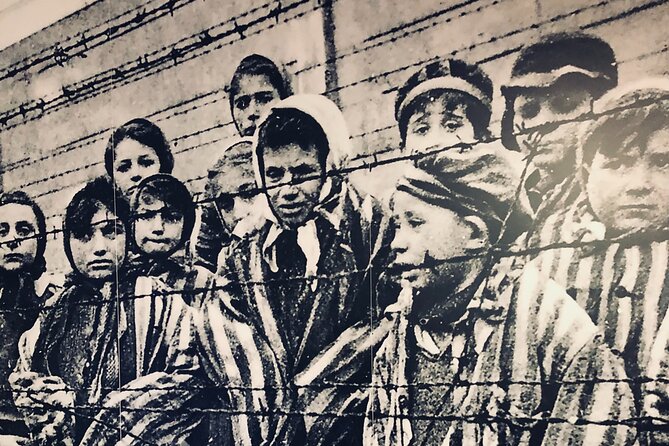 Auschwitz-Birkenau Guided Tour with Private Transport from Krakow - A Sobering Day With Clear Purpose: Auschwitz I and Auschwitz II in One Block