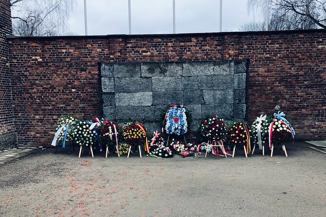 Auschwitz-Birkenau Guided Tour with Private Transport from Krakow - Group Size and Comfort: How 30 People Can Feel Manageable