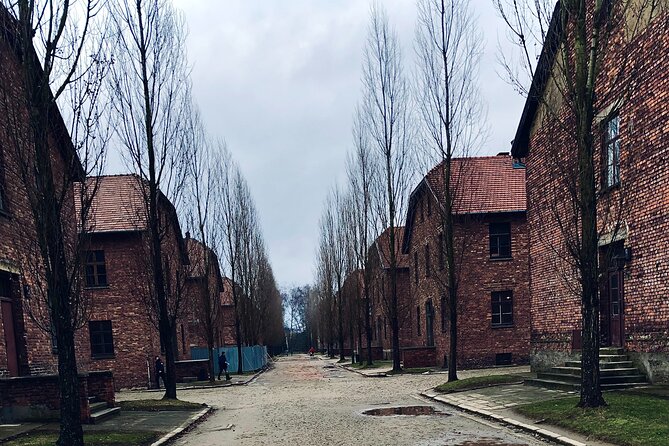 Auschwitz-Birkenau Guided Tour with Private Transport from Krakow - Who This Tour Fits Best