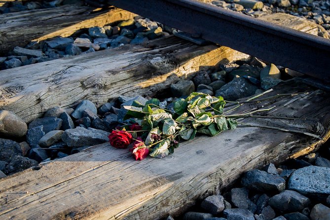 Auschwitz Birkenau Guided Tour with Ticket Hotel Pickup Small Van - Timing, Breaks, and the Early Morning Reality