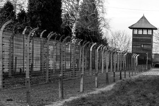 Auschwitz Birkenau Guided Tour with Ticket Hotel Pickup Small Van - Skip-the-Line Tickets and Headphones: The Part You Really Want Sorted