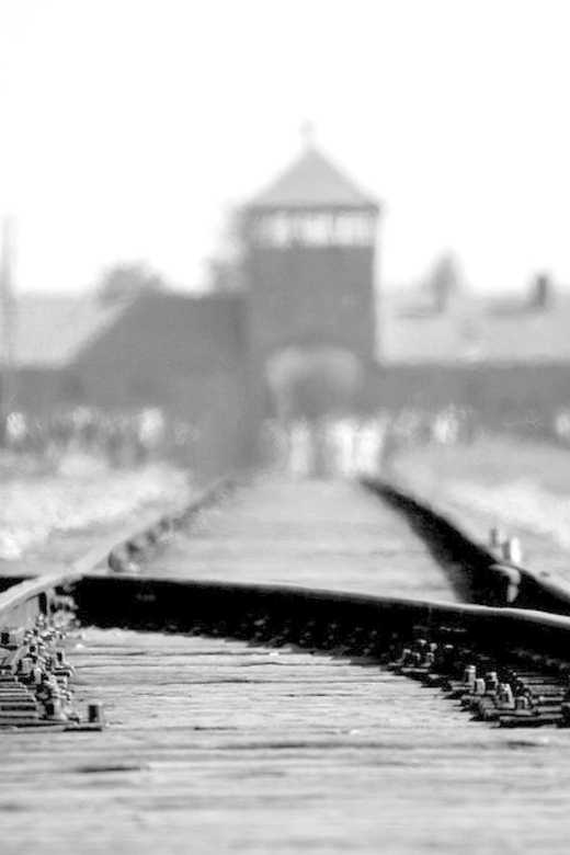 Auschwitz-Birkenau: Memorial Entry Ticket and Guided Tour - Getting to Auschwitz with your own transport, then meeting at Auschwitz I