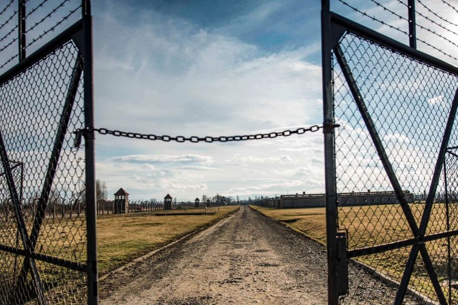 Auschwitz-Birkenau: Museum Entry Ticket with Guided Tour - Meeting at the Visitor Center: Get Oriented Fast