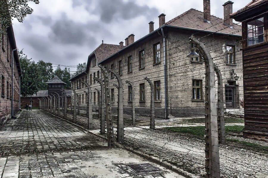 Auschwitz-Birkenau: Museum Entry Ticket with Guided Tour - Auschwitz II-Birkenau for 75 Minutes: The Railway Platform and the Ruins