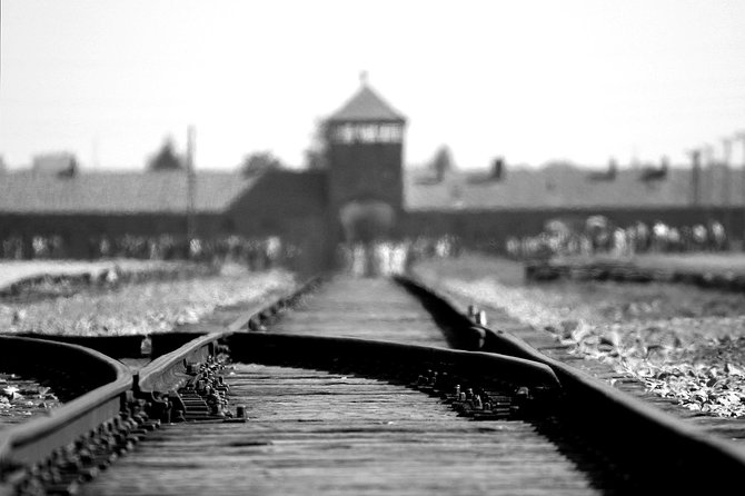 Auschwitz-Birkenau Museum Tour from Krakow - Birkenau (Auschwitz II): fences, barracks, crematoriums, gas chamber remains