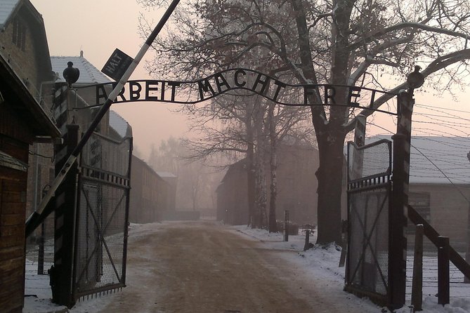 Auschwitz-Birkenau Museum Tour from Krakow - Entering the Auschwitz-Birkenau story with a licensed guide