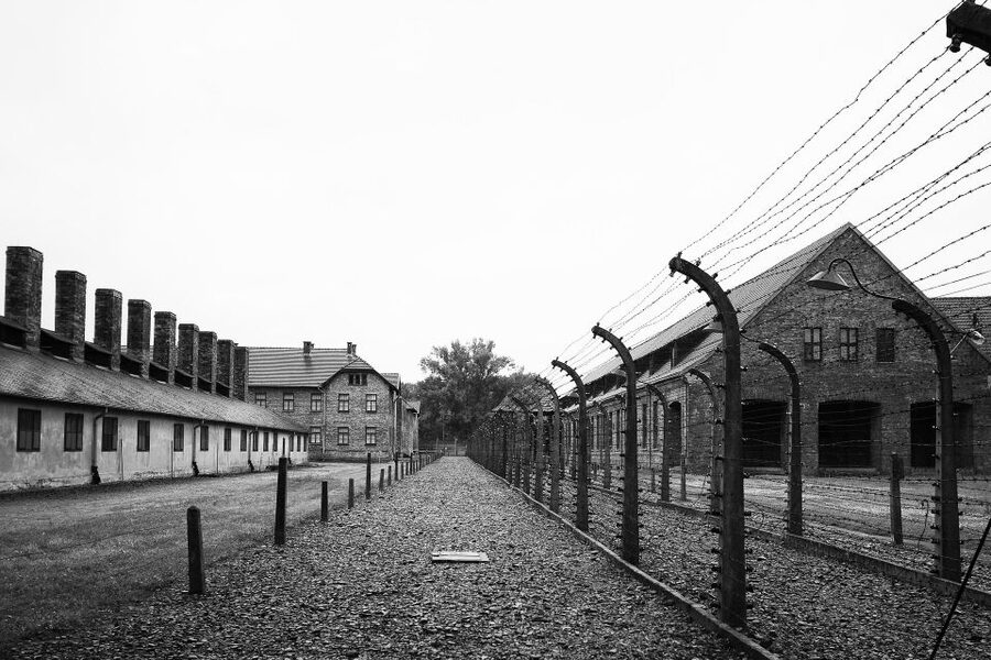 Auschwitz-Birkenau Private Tour from Katowice & Transport - Birkenau (Auschwitz II): the scale, the watchtowers, and the railway platforms