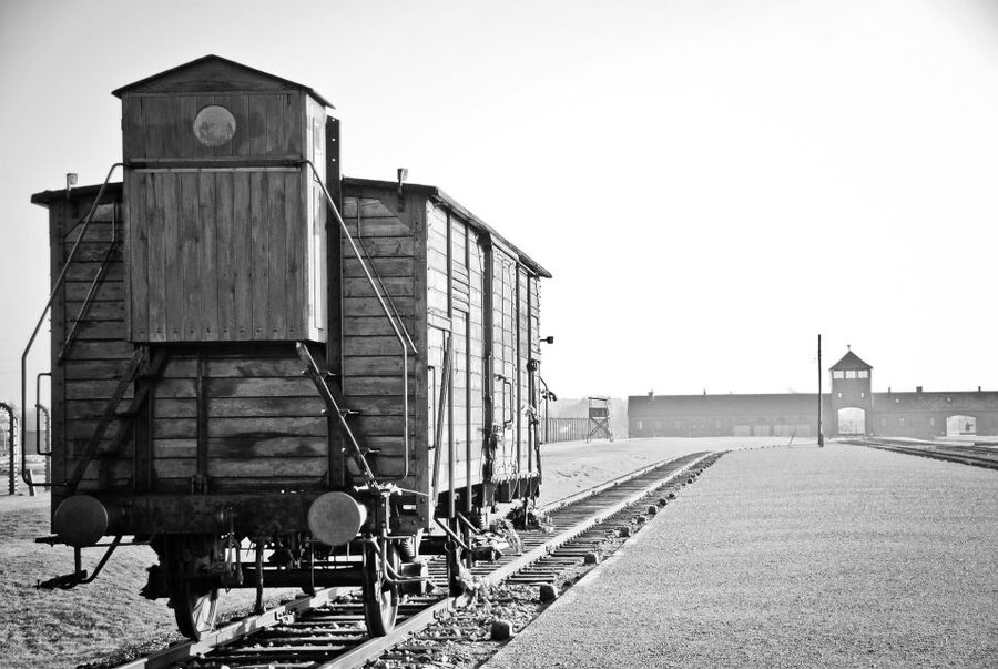 Auschwitz-Birkenau Private Tour from Katowice & Transport - ID, limited tickets, and what happens if Auschwitz I access changes