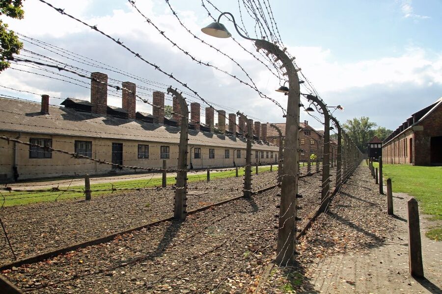 Auschwitz-Birkenau Private Tour from Katowice & Transport - Timing, pacing, and food: plan for no lunch break