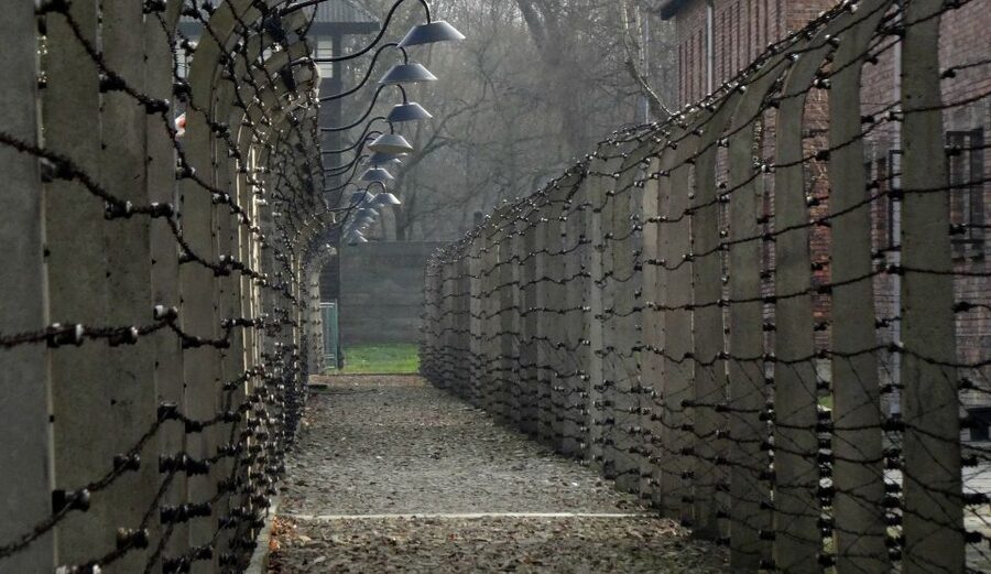 Auschwitz-Birkenau Private Tour from Katowice & Transport - Price and value: is $288 fair for what you get?