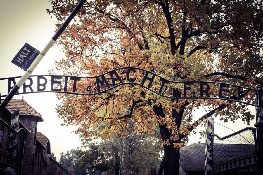 Auschwitz-Birkenau Private Tour from Katowice & Transport - Private car pickup: the comfort part you actually need