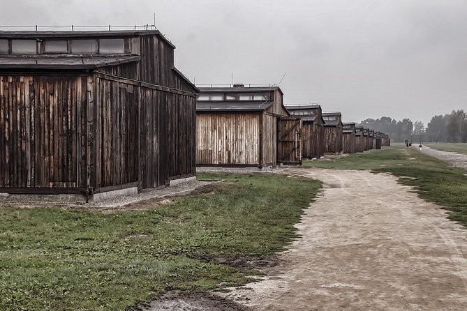 Auschwitz-Birkenau Private Tour from Krakow - Auschwitz II Birkenau in about 1 hour: walking the ground without losing your footing