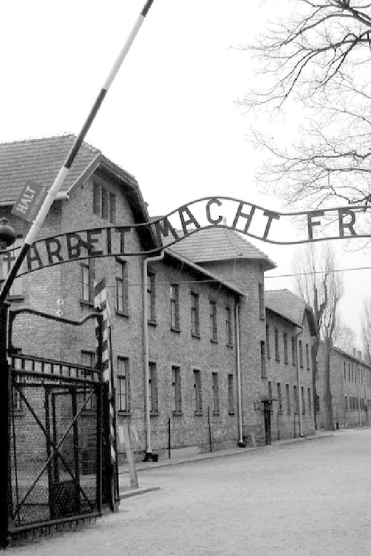 Auschwitz-Birkenau & Salt Mine Tour in One Day from Krakow - Auschwitz-Birkenau: What You’ll Learn, How Long You’ll Be There, and How to Prepare