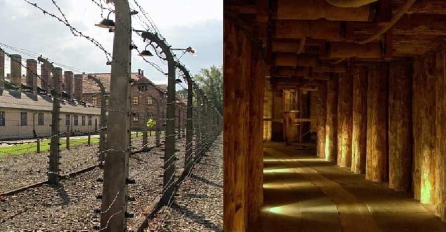 Auschwitz-Birkenau & Salt Mine Tour in One Day from Krakow - What’s Included, What You’ll Add, and How to Handle Meals