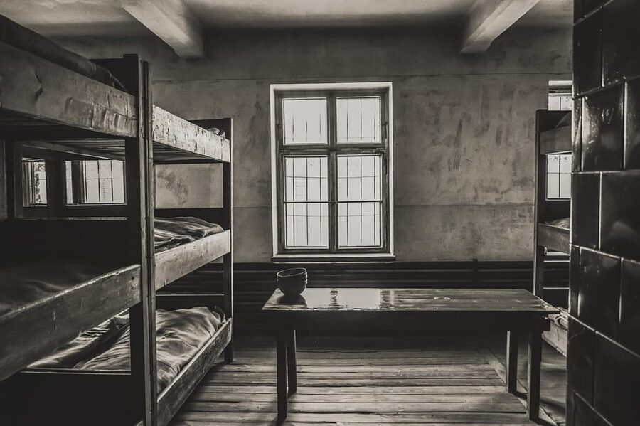 Auschwitz-Birkenau & Salt Mine Tour in One Day from Krakow - Price and Value: What $164 Covers (and Why It Can Be Worth It)