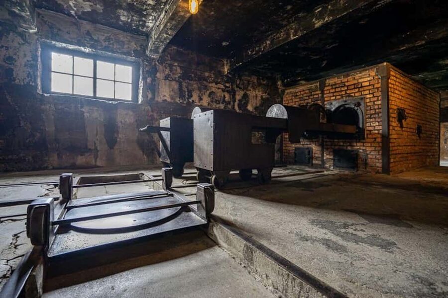 Auschwitz-Birkenau: Skip-the-Line Entry and Guided Tour - Planning Your Pace: How the 210 Minutes Usually Feel