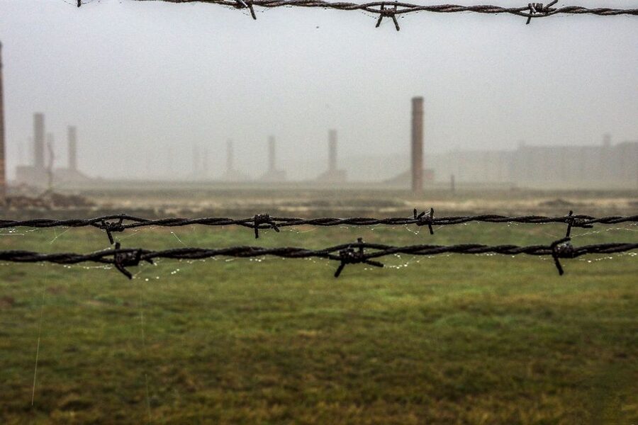 Auschwitz-Birkenau: Skip-the-Line Entry Ticket & Guided Tour - Key Points Before You Go