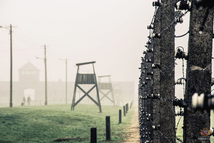 Auschwitz-Birkenau: Skip-the-Line Entry Ticket & Guided Tour - What to Bring (and What Gets You Turned Away)