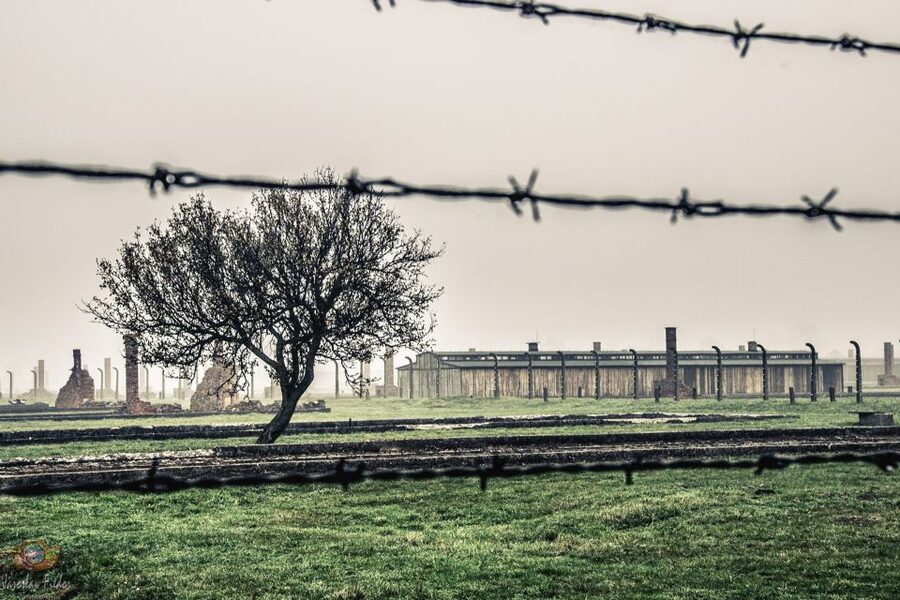 Auschwitz-Birkenau: Skip-the-Line Entry Ticket & Guided Tour - Why This Tour Matters More Than the Checklist