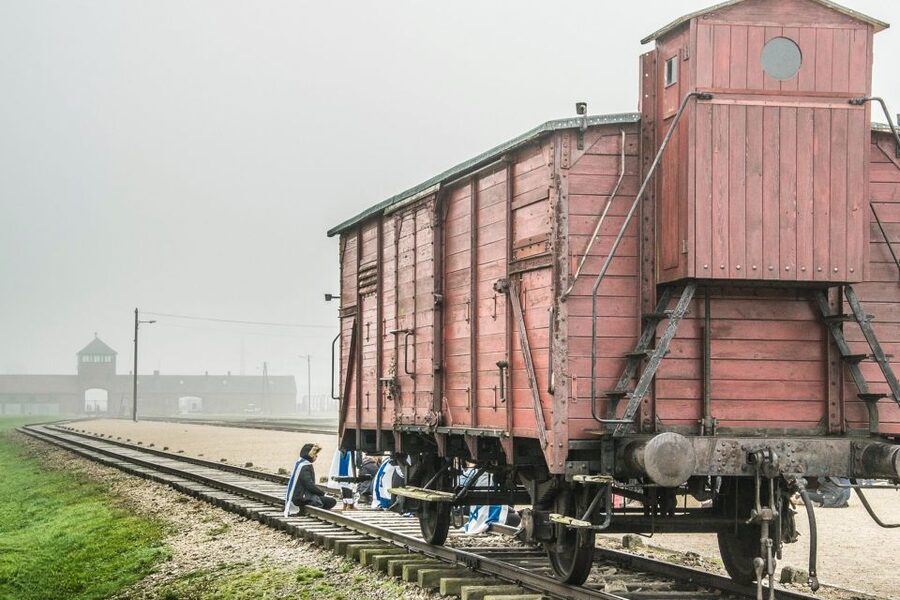 Auschwitz-Birkenau: Skip-the-Line Entry Ticket & Guided Tour - Skip-the-Line Entry: How You Avoid the Biggest Hassle