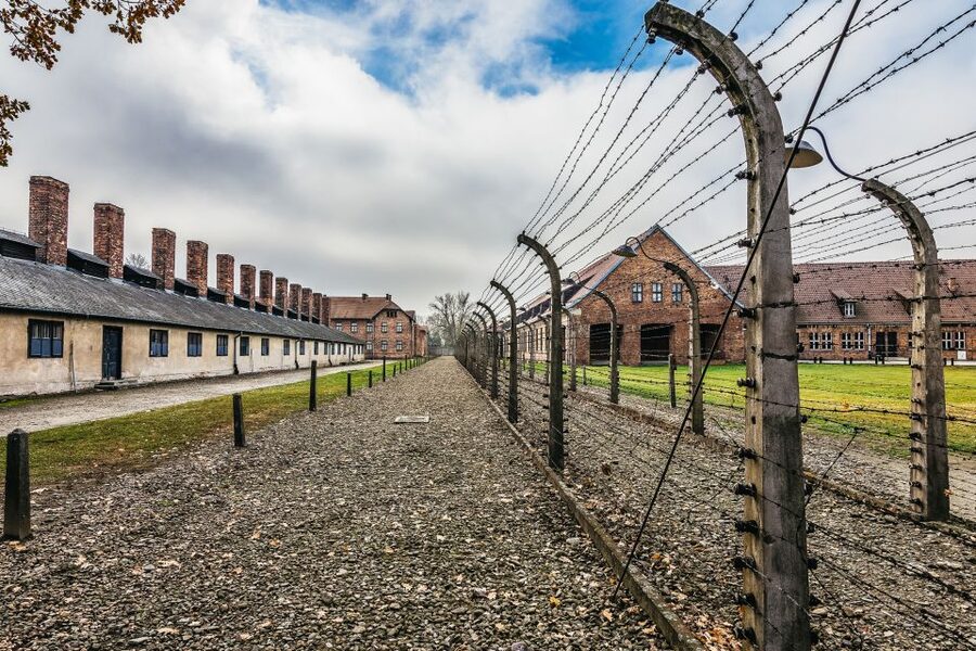 Auschwitz-Birkenau: Skip-the-Line Entry Ticket & Guided Tour - Birkenau by Bus: Auschwitz II and the Scale Shock in About an Hour