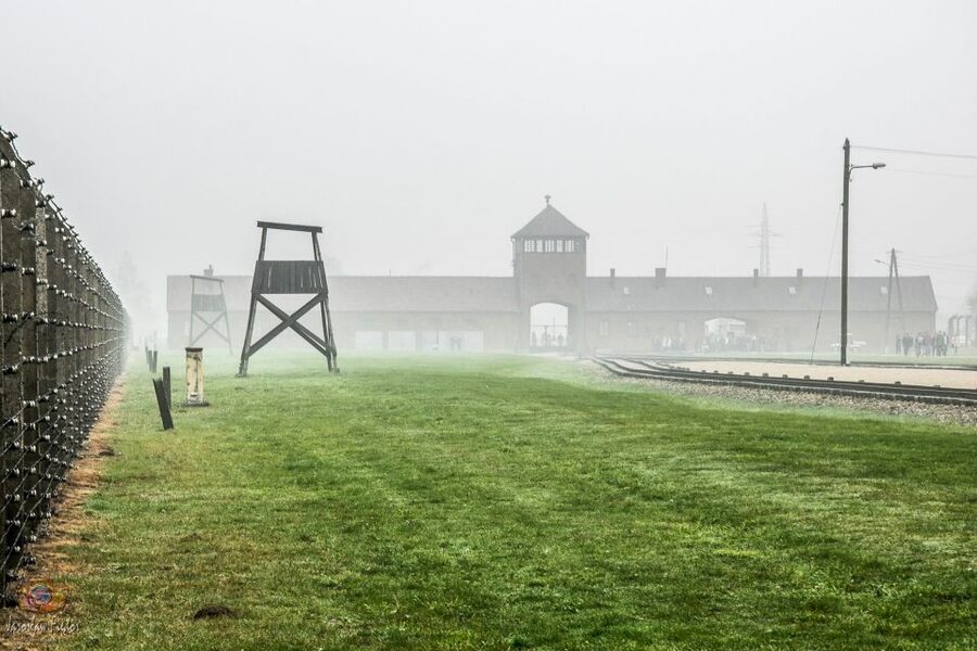 Auschwitz-Birkenau: Skip-the-Line Entry Ticket & Guided Tour - Guides, Headsets, and the Tone That Makes This Bearable