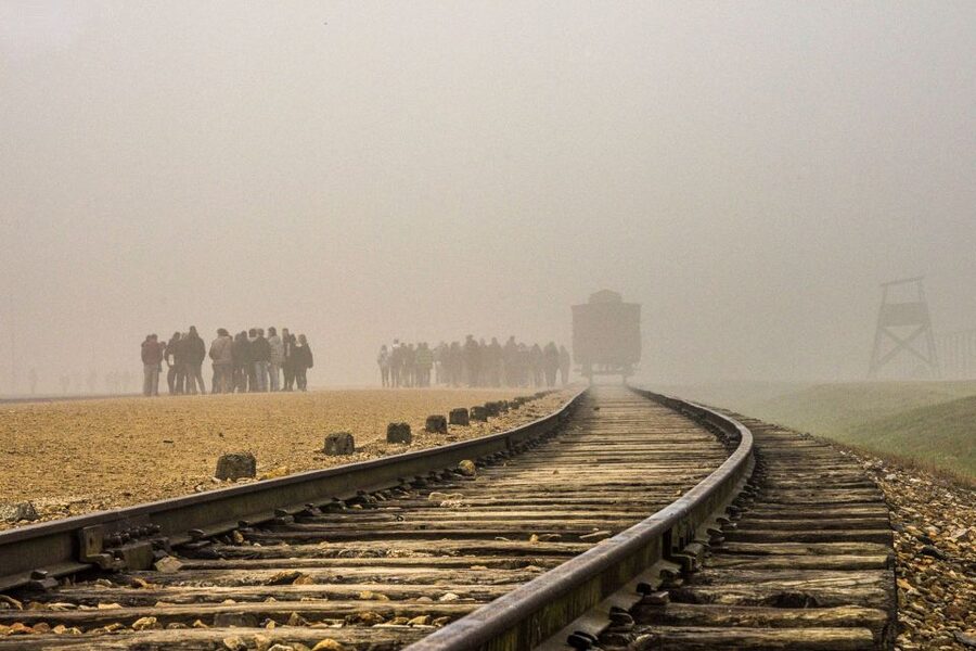 Auschwitz-Birkenau: Skip-the-Line Entry Ticket & Guided Tour - Timing Reality: Start Times, Crowd Levels, and Weather