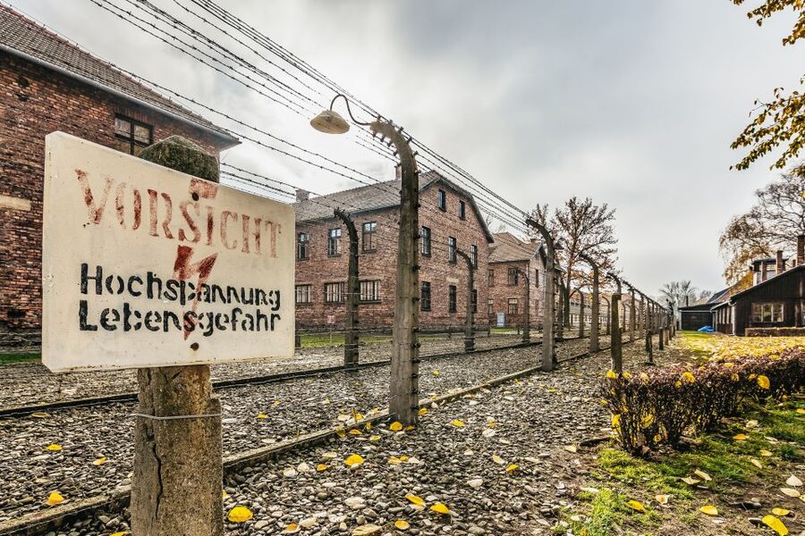 Auschwitz-Birkenau: Skip-the-Line Entry Ticket & Guided Tour - Ticket Value: What $21 Covers, and What You Still Need to Budget