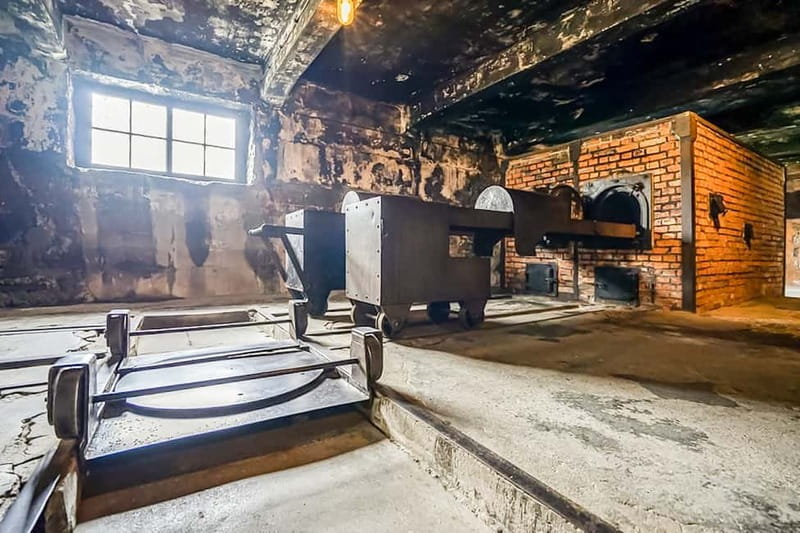 Auschwitz-Birkenau Skip-the-Line Guided Tour - Key Highlights You Should Actually Care About